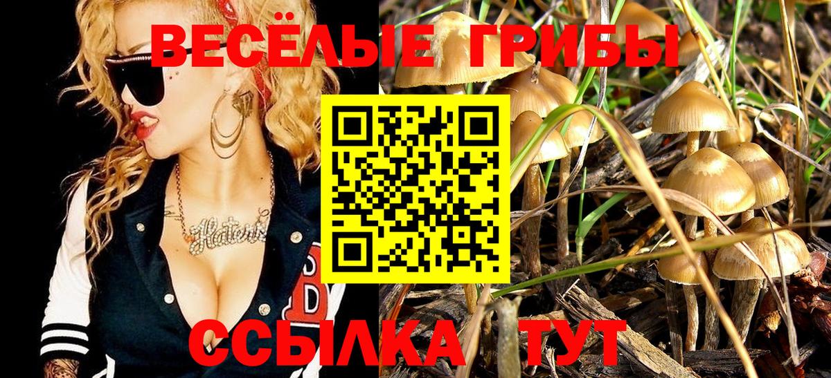Псилоцибиновые грибы прущие грибы Зеленокумск