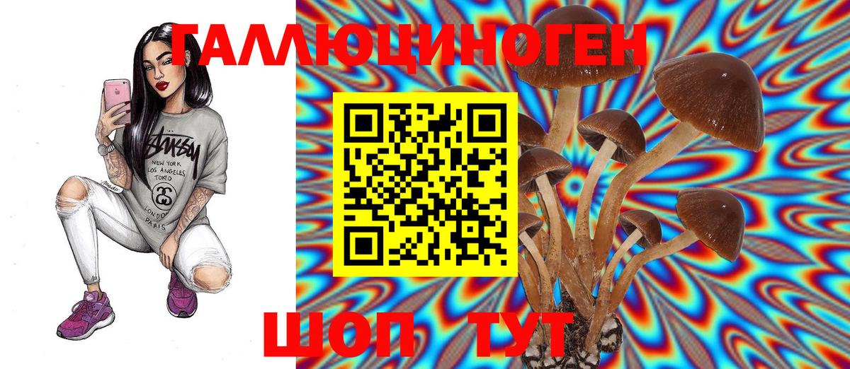 Зеленокумск  Псилоцибиновые грибы Magic Shrooms  Псилоцибиновые грибы Cubensis  продажа наркотиков  Вход с VPN 